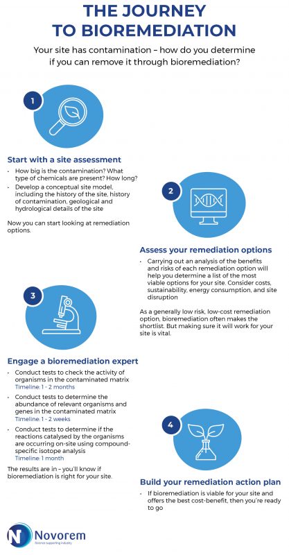 The Journey to Bioremediation
