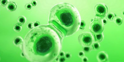 Nutrient formula image