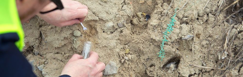 Contaminated soil sample