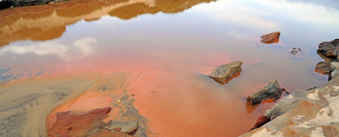 Australian cultures for contaminated groundwater sample