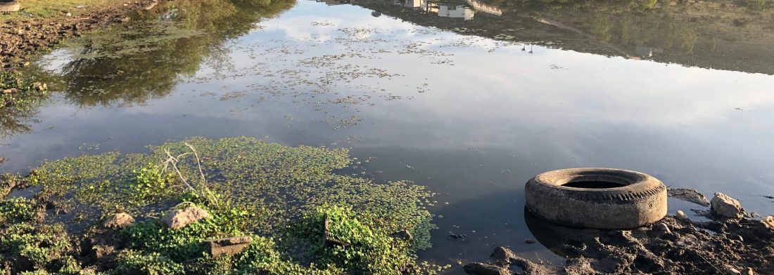 Contaminated Groundwater that can be remediated through bioremediation