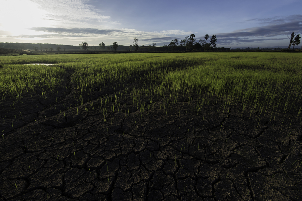 shutterstock_548820268 (1)